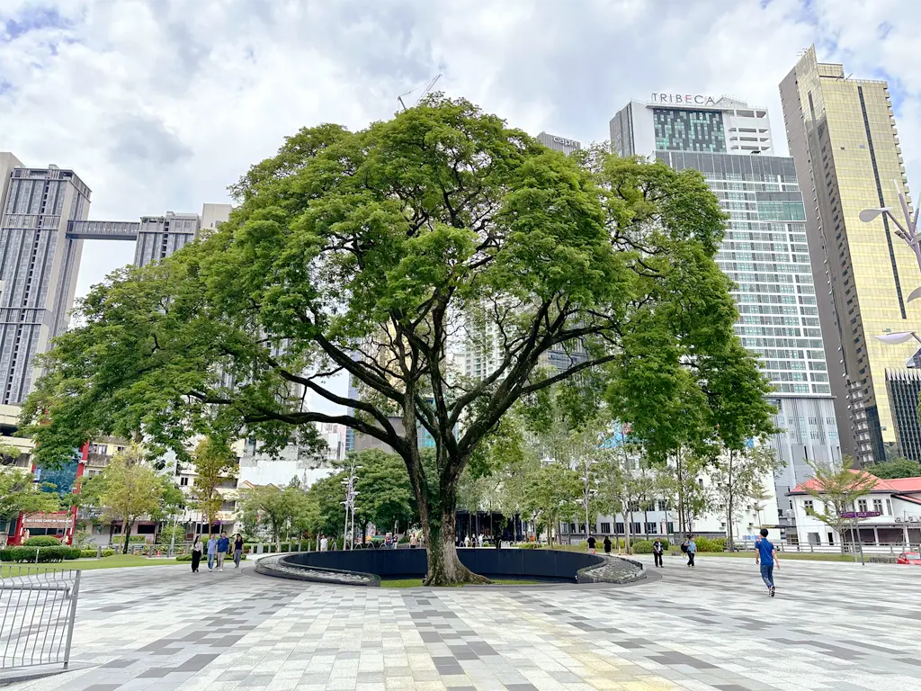 Merdeka Tree, Raintree Plaza TRX